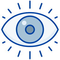 icon-vision